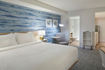 Studio, 1 King Bed, City View