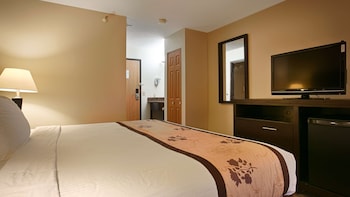 Standard Room, 1 King Bed, Non Smoking, Refrigerator