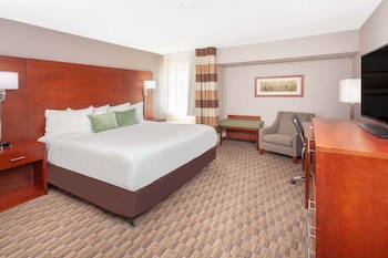 Room, 1 King Bed, Accessible, Non Smoking