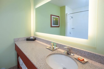 Room, 1 King Bed, Non Smoking, Jetted Tub