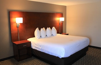 Room, 1 King Bed, Non Smoking, Jetted Tub