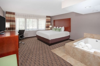 Room, 1 King Bed, Non Smoking, Jetted Tub