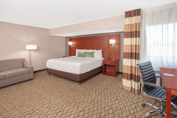 Room, 1 King Bed, Non Smoking, Jetted Tub