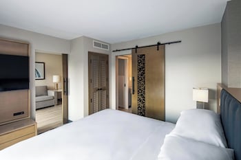 Club Suite, 1 King Bed with Sofa bed