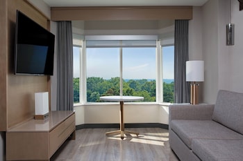 Suite, 1 King Bed with Sofa bed