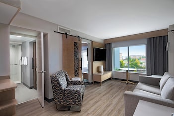 Suite, 1 King Bed with Sofa bed