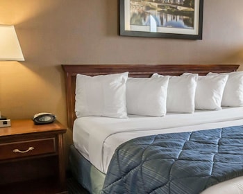 Standard Room, 1 King Bed, Non Smoking