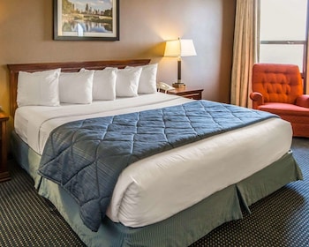 Standard Room, 1 King Bed, Non Smoking