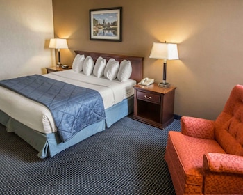 Standard Room, 1 King Bed, Non Smoking