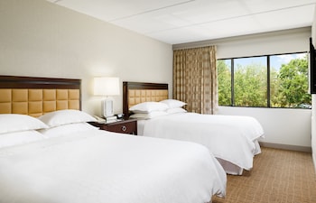 Suite, 1 Bedroom