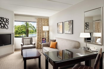 Suite, 1 Bedroom, King Bed & Sofa Bed, Accessible, (Mobility & Hearing w/ Roll-in Shower)