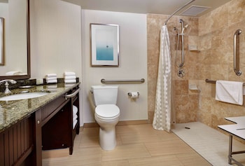 Suite, 1 King Bed with Sofa bed (Roll-in Shower)