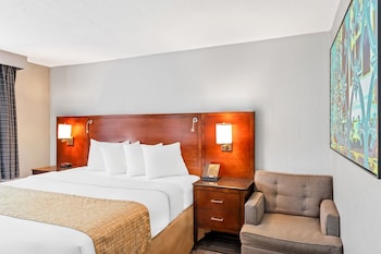 Room, 1 Queen Bed, Non Smoking