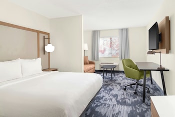 Suite, 1 King Bed with Sofa bed