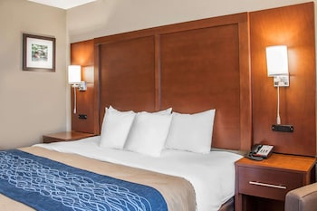 Standard Room, 1 King Bed, Non Smoking