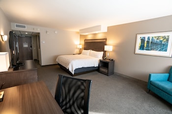 Standard Room, 1 King Bed, Accessible (Accessible Tub)