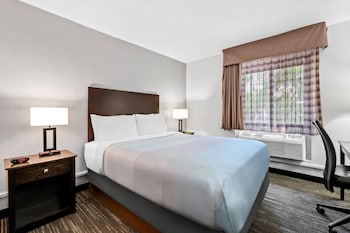 Room, 1 King Bed, Accessible, Non Smoking