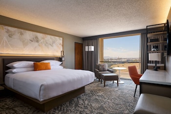 Room, 1 King Bed (Mobility/Hearing Access, Roll-In Shwr)