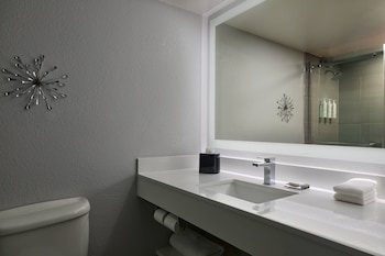 Room, 1 King Bed (Mobility/Hearing Access, Roll-In Shwr)
