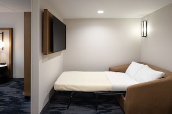 Suite, 1 King Bed with Sofa bed