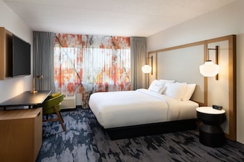 Suite, 1 King Bed with Sofa bed