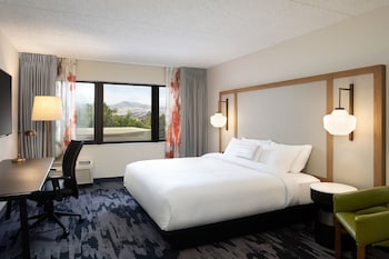 Room, 1 King Bed, Mountain View