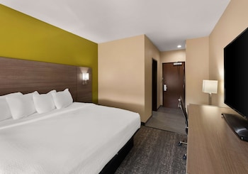 Standard Room, 1 King Bed, Non Smoking, Refrigerator & Microwave (Shower Only;Larger Room)