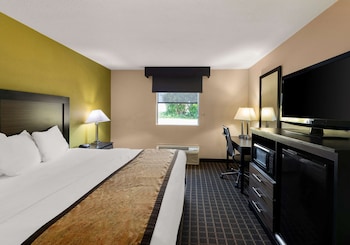 Standard Room, 1 King Bed, Non Smoking, Refrigerator & Microwave (Shower Only;Larger Room)