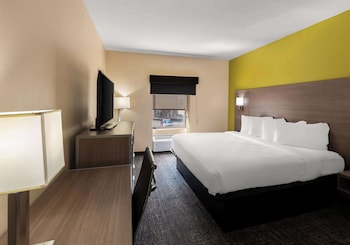 Standard Room, 1 King Bed, Non Smoking, Refrigerator & Microwave (Shower Only;Larger Room)