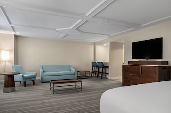 Studio Suite, 1 King Bed