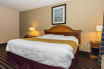 Standard Room, 1 King Bed