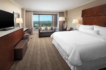 Traditional Room, 1 King Bed, Non Smoking (Mobility Accessible, Roll-in Shower)