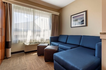 Standard King City Suite