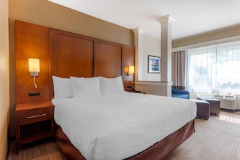 Ground Floor Lakeview King Suite