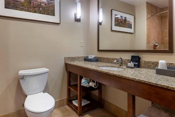 Deluxe Lakeview Balcony Suite