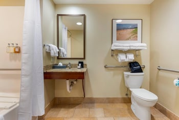 Lakeview Accessible Ground Floor Deluxe Suite