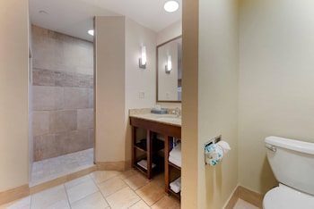 Jetted Tub Fireplace Deluxe Lake View Suite