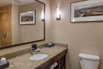 Ground Floor Deluxe Lakeview Queen Suite