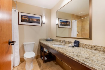Ground Floor Executive Lakeview King Suite