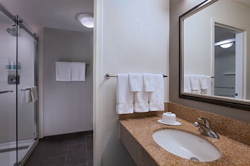 Suite, 1 King Bed with Sofa bed