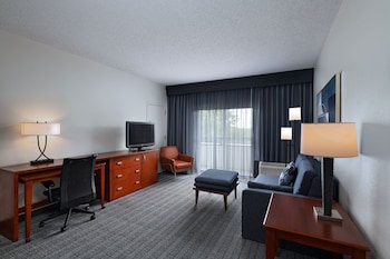 Suite, 1 King Bed with Sofa bed (Mobility Accessible, Tub)