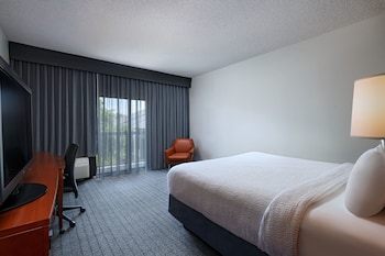 Room, 1 King Bed with Sofa bed (Mobility Accessible, Roll-in Shower)