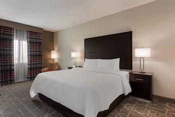 Room, 1 King Bed with Sofa bed
