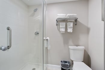 Room, 1 King Bed