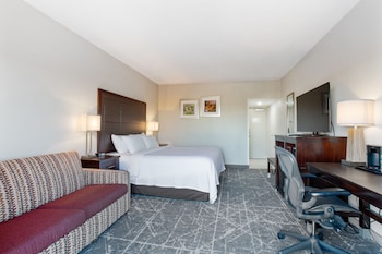 Room, 1 King Bed with Sofa bed