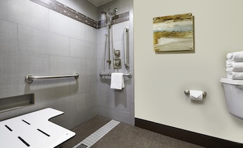 Room, 1 King Bed, Accessible (Roll-In Shower, Mobility & Hearing)