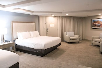 Room, Multiple Beds