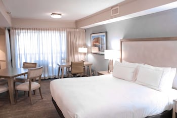 Suite, Multiple Beds