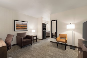 Studio Suite, 1 King Bed, Accessible, Non Smoking