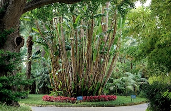 Family Room, Park View